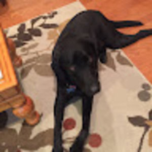 Meet your Posher, Jada